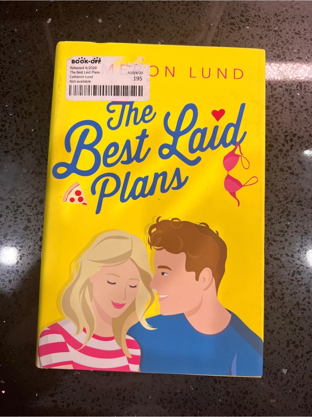 The Best Laid Plans by Cameron Lund Book